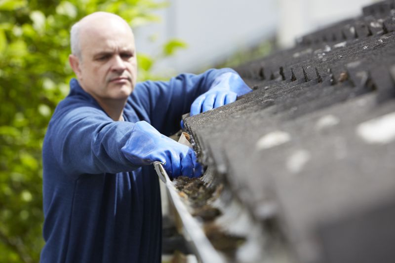 Gutter and Fascia Cleaning