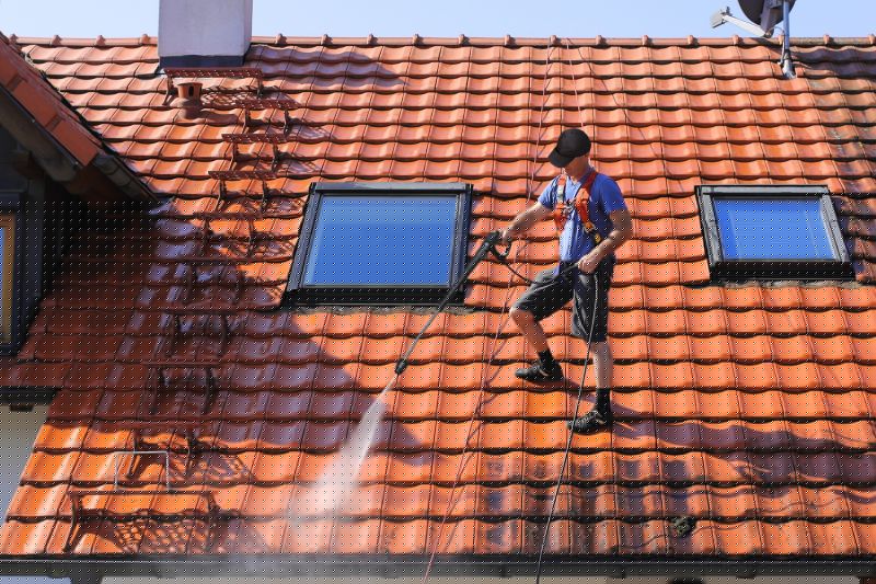 Roofline Cleaning