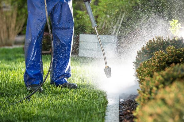 Cost of Curb Cleaning in Doylestown
